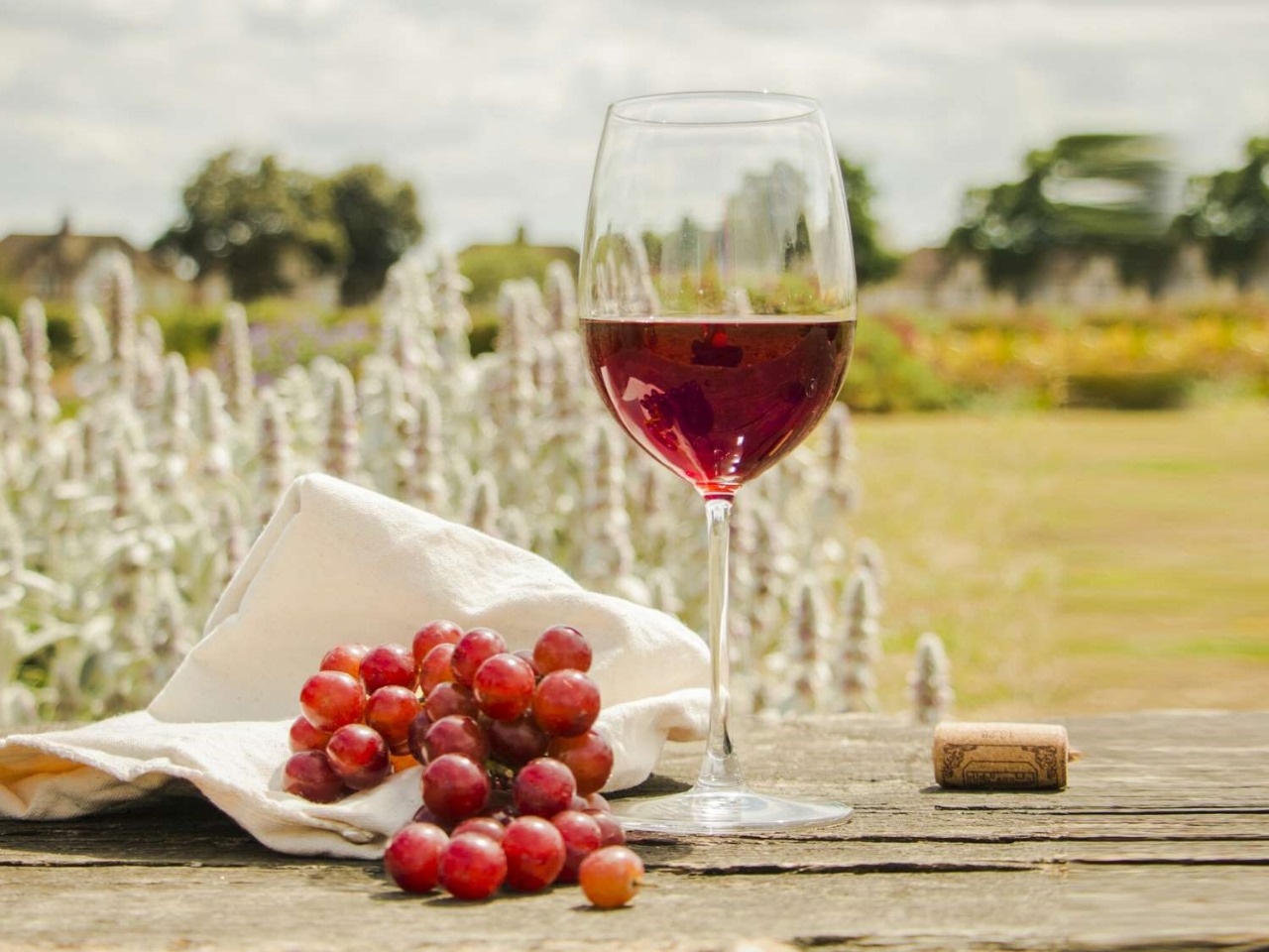 Clarksburg: A Hidden California Wine Retreat Near Sacramento