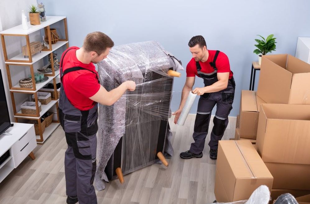 Essential Guide to Packing and Storage Warwick for a Stress-Free Move