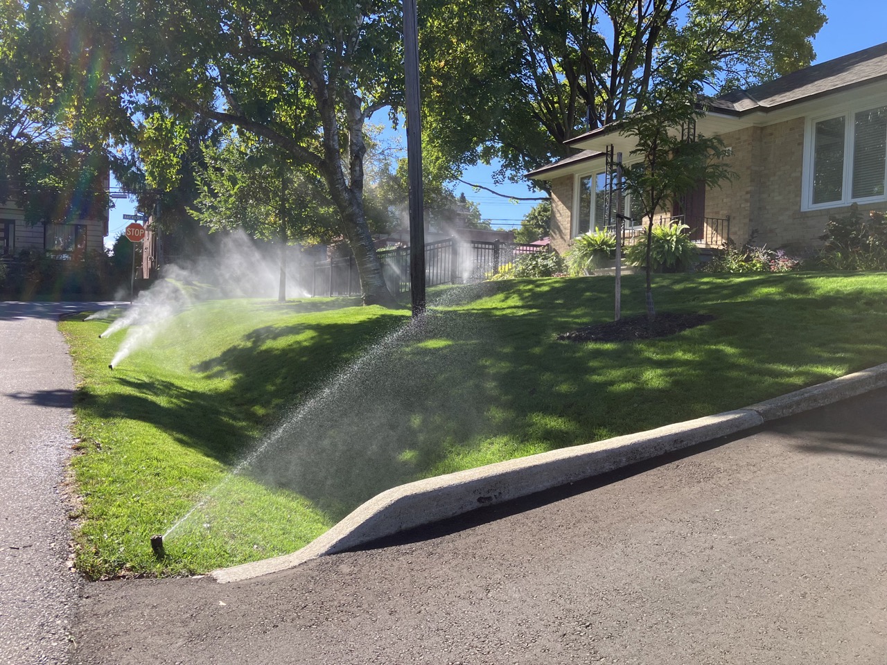 The Sprinkler Company Inc | Expertly Installed Sprinkler Systems