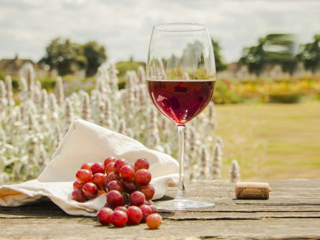 Clarksburg: A Hidden California Wine Retreat Near Sacramento