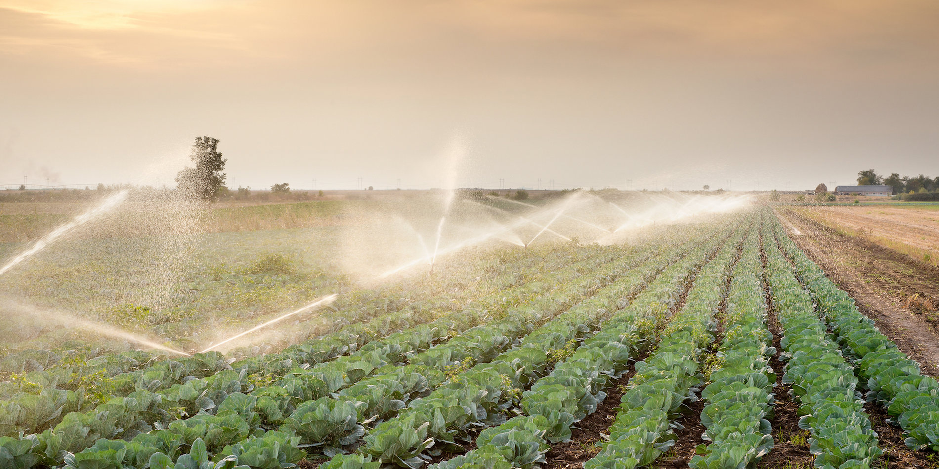 Professional Irrigation Services in Haslet, TX for Water-Efficient Lawns
