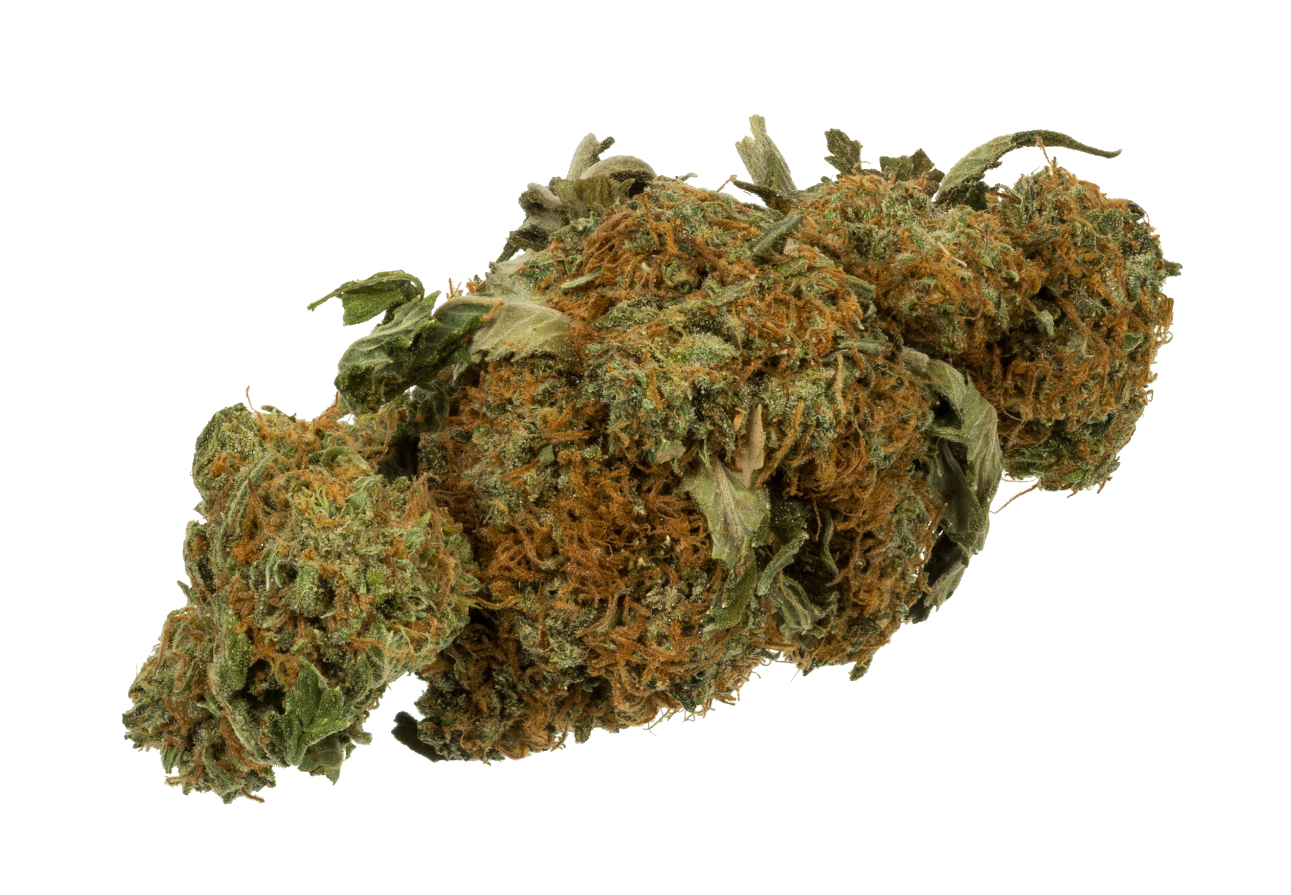 Cannabis club hamburg – Dein legaler CSC in Hamburg