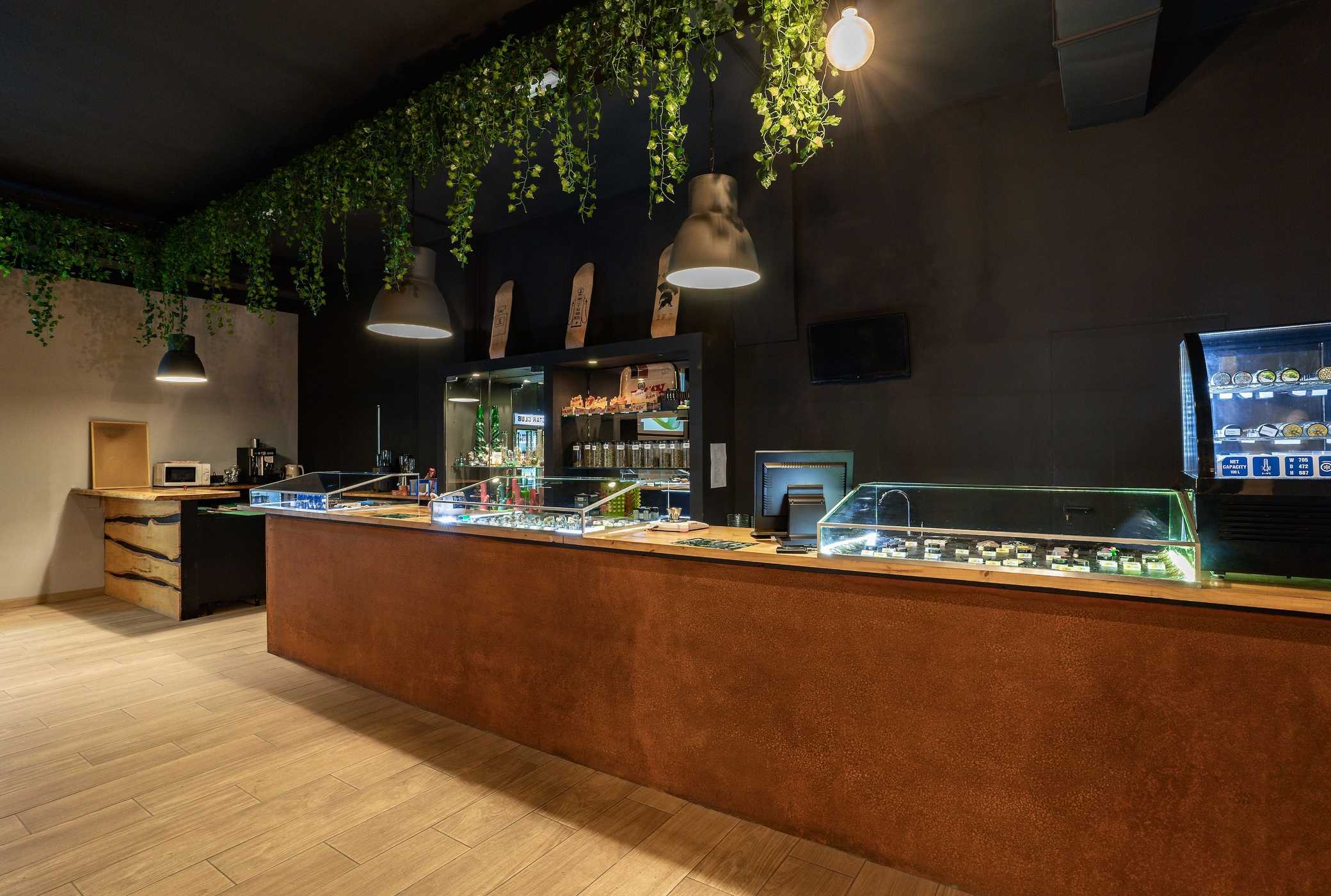 Coffee Shop Madrid : Infos Pratiques pour Visiteurs