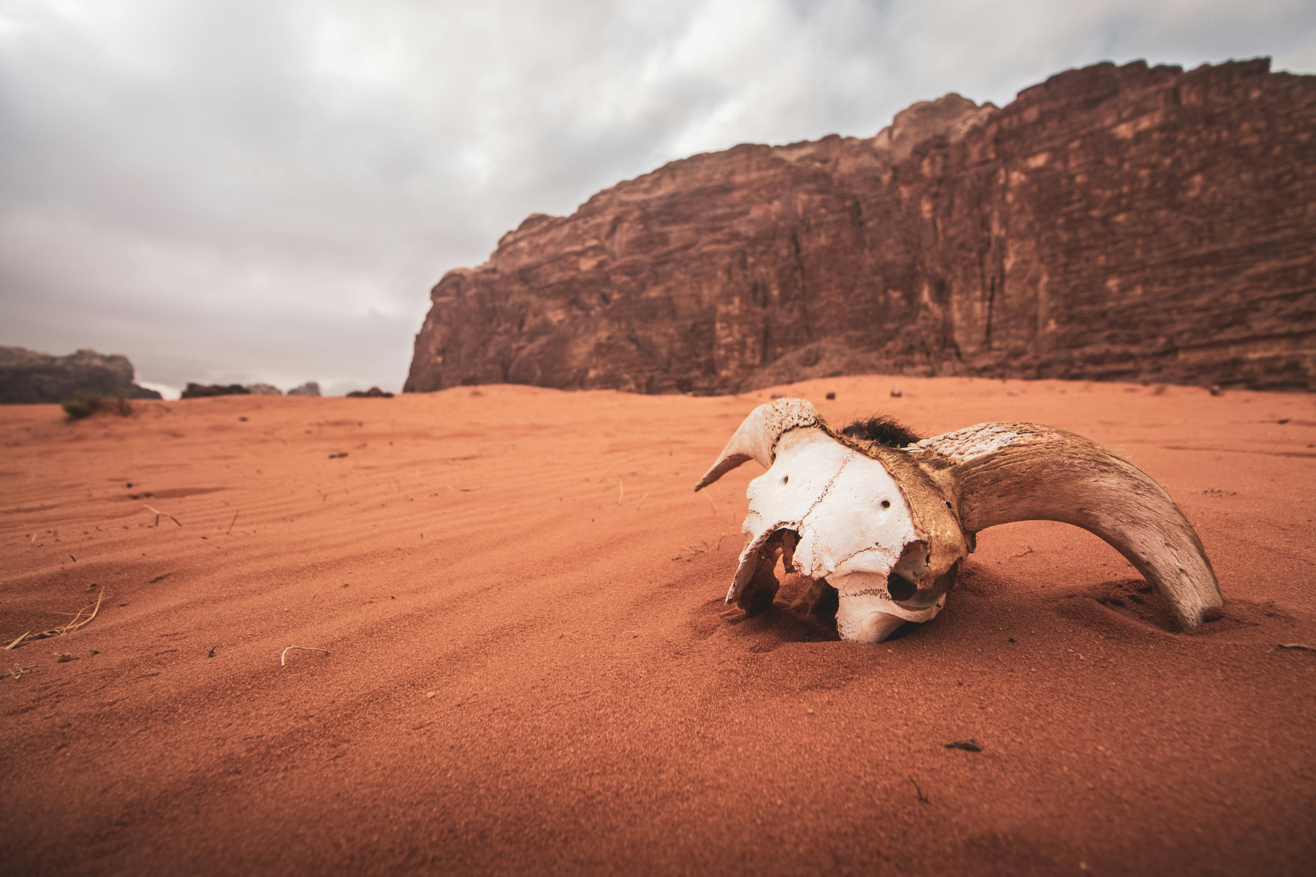 Jordan Cultural Tours and Trips: Connect with Local Traditions