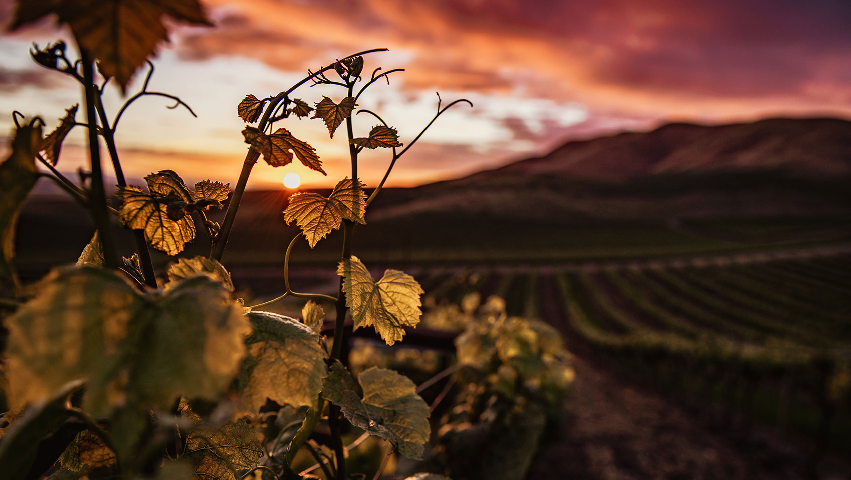 Guided Clarksburg Tours You’ll Love