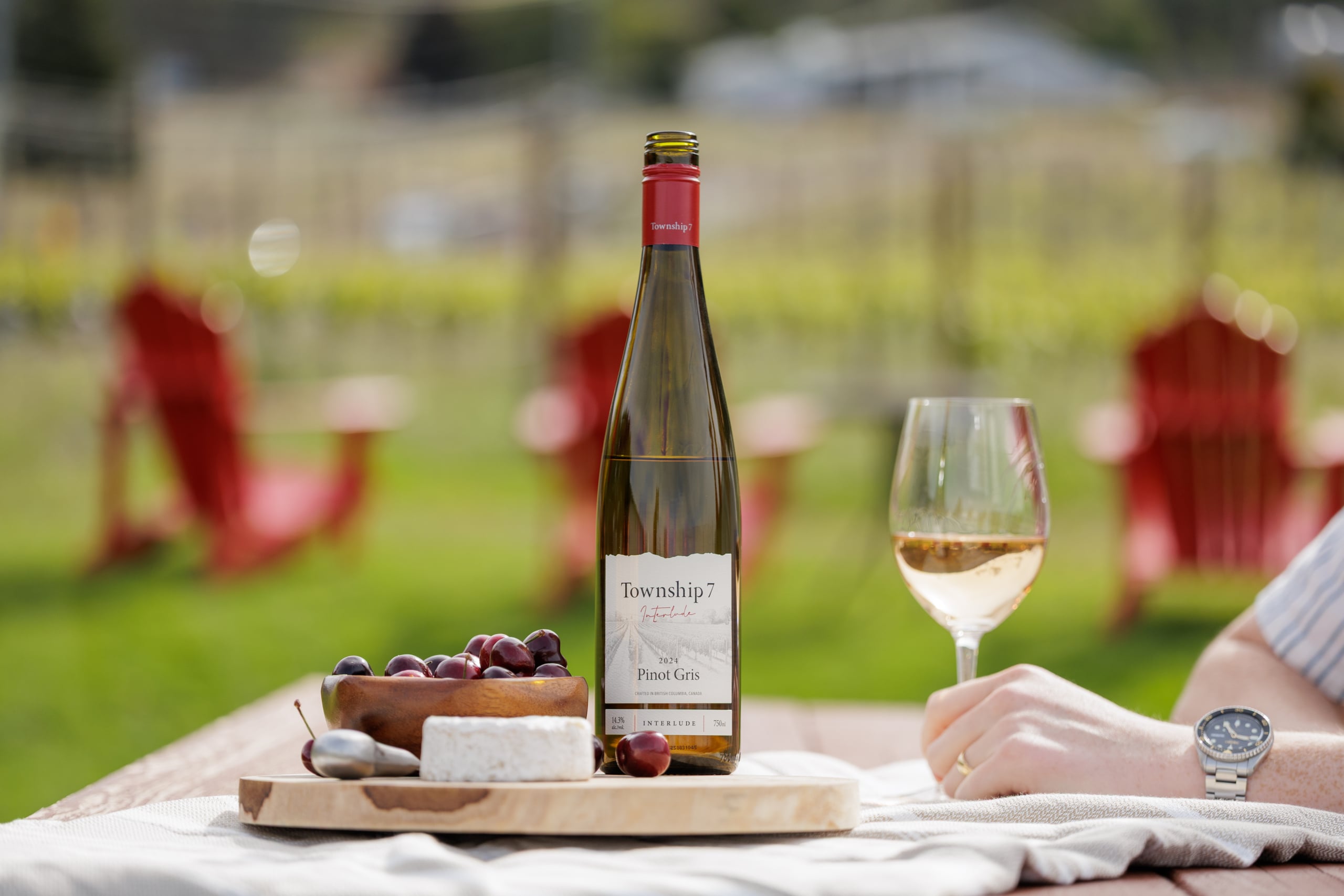Langley Wine Tours for Unforgettable Wine Tastings